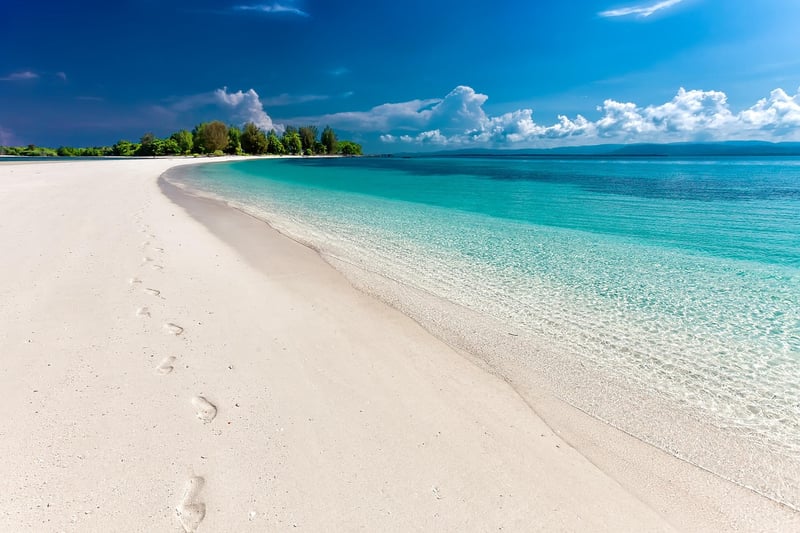 Beach Escape